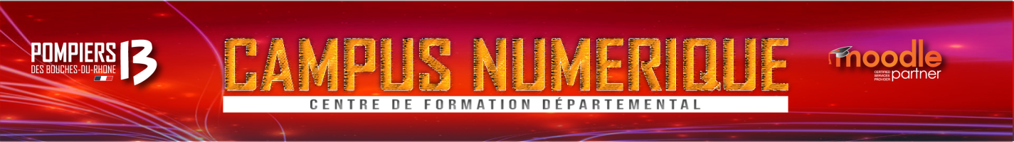 Bienvenue sur moodle.formation-sdis13.fr